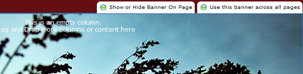 Show or hide banner on web pages